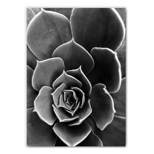 Succulent Flower Photography Print
