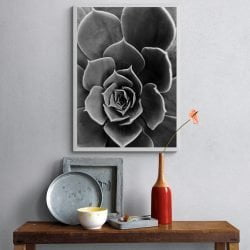 Succulent Flower Photography Print in White Frame