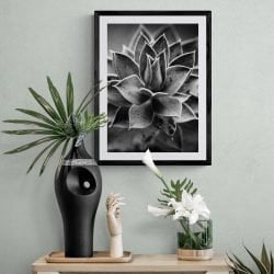 Succulent Cactus Photography Print in Black Frame with Mount
