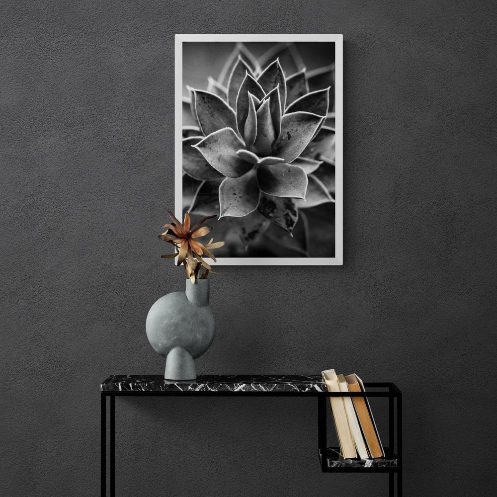 Succulent Cactus Photography Print in White Frame