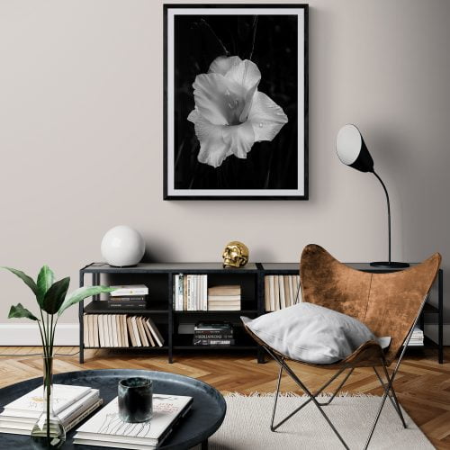 Orchid Flower Photography Print in black frame with mount