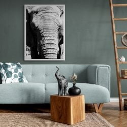 Elephant Photography Print in white frame
