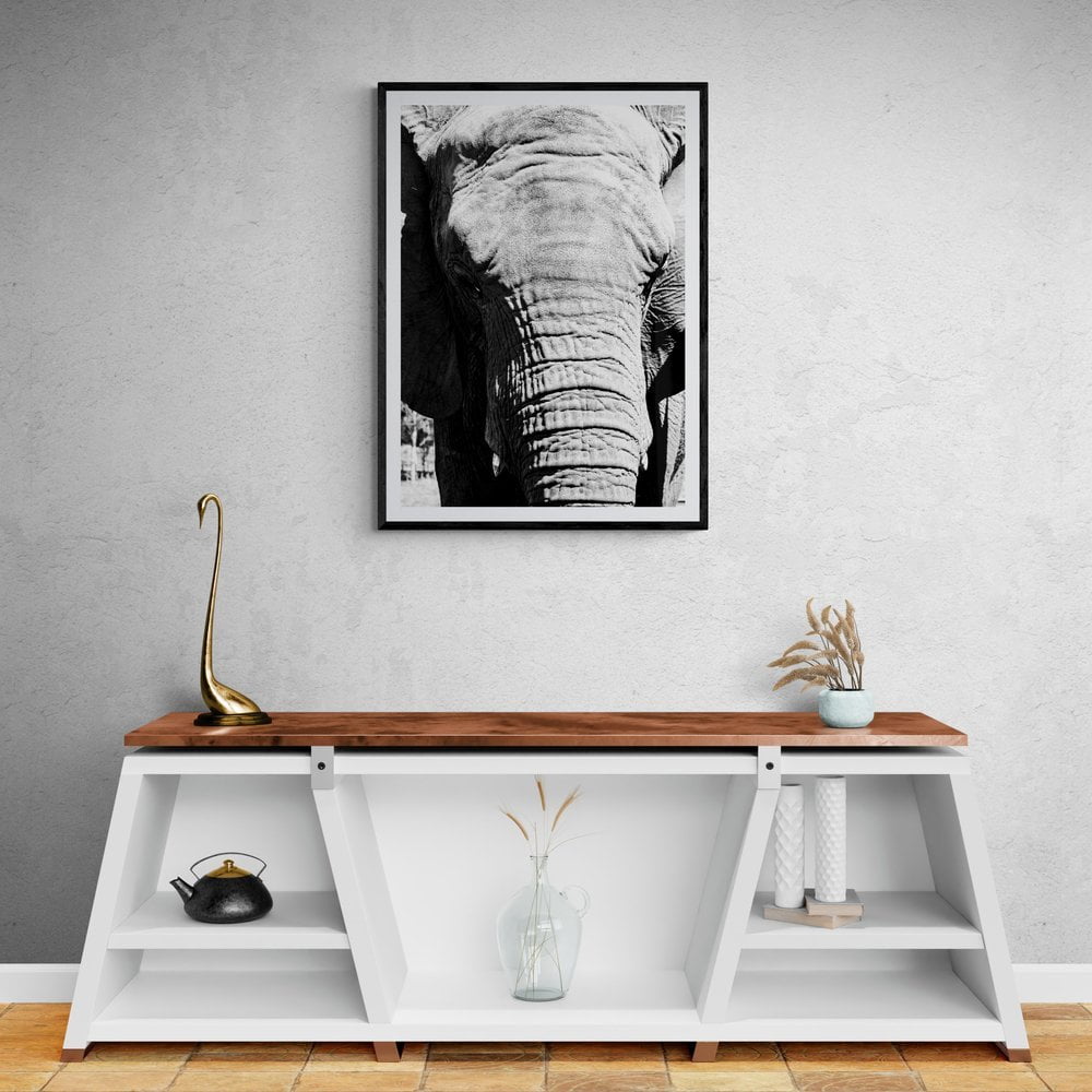 Elephant Photography Print in black frame with mount