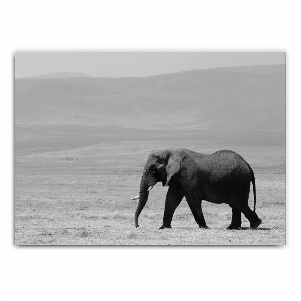 Walking Elephant Photography Print