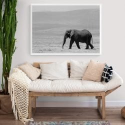 Walking Elephant Photography Print in white frame