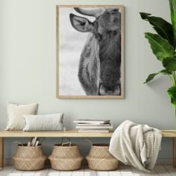 Wildebeest Photography Print in natural wood frame