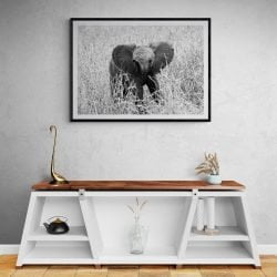 Walking Baby Elephant Photography Print in black frame with mount