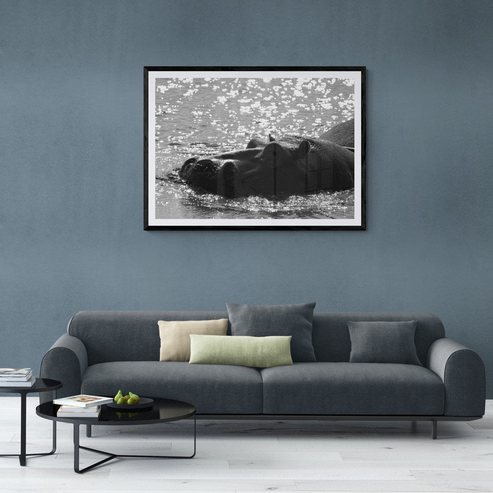 Hippo Photography Print in a black frame with mount