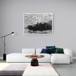 Hippo Photography Print in a white frame