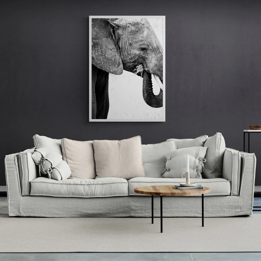 Elephant Eating Photography Print in white frame