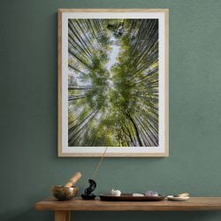 Bamboo Tree Canopy Print in natural frame with mount