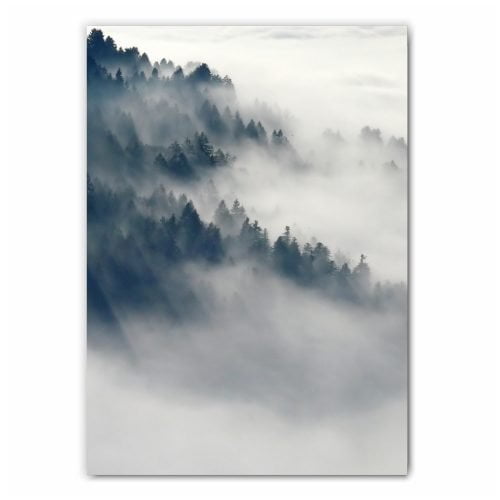 Nordic Foggy Forest Print