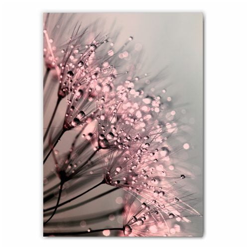 Dandelion Dew Print