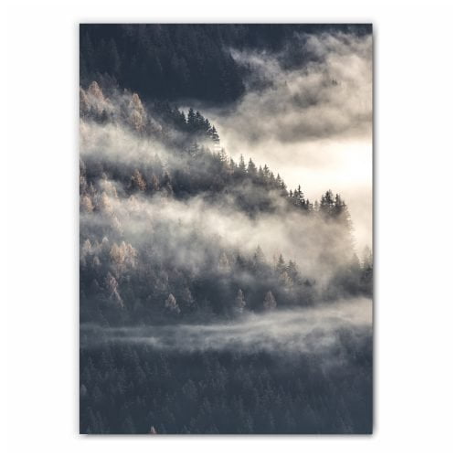Misty Forest Photography Print