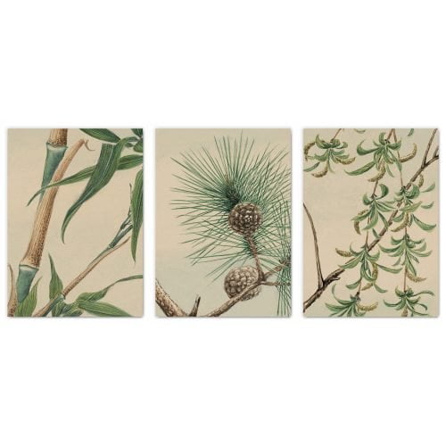 Botanical Watercolour Print Set of 3