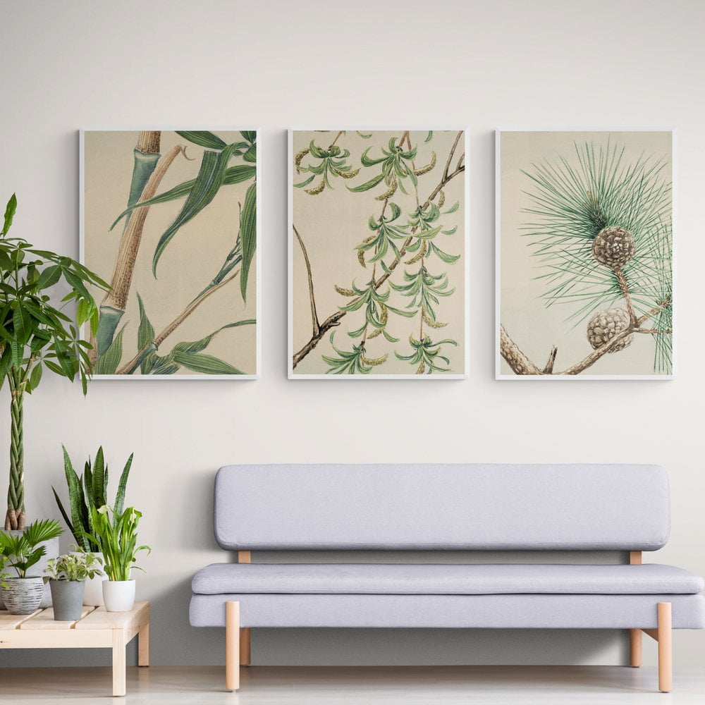 Botanical Watercolour Print Set of 3 in white frames