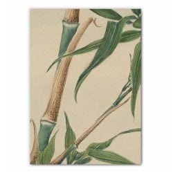 Watercolour Bamboo Print