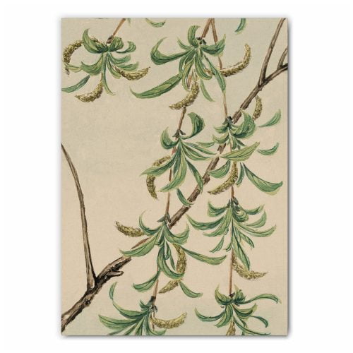 Watercolour Tree Painting Print