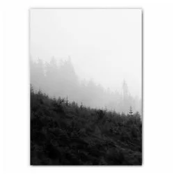 Nordic Forest Print
