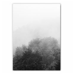 Foggy Forest Print Set - 2