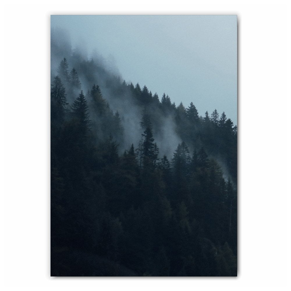 Misty Forest Print Set - 1