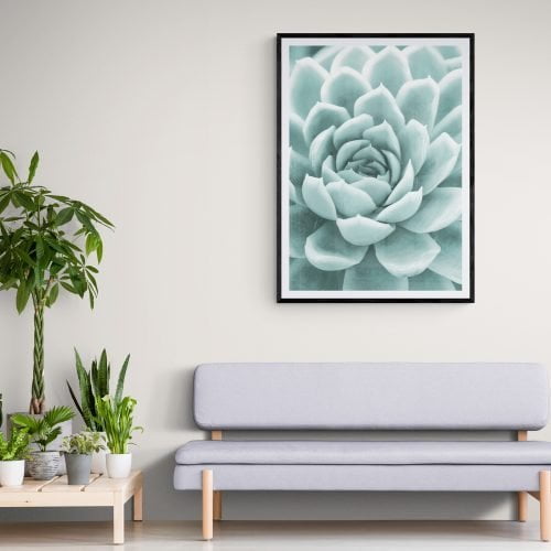 Succulent Photography Print in black frame with mount