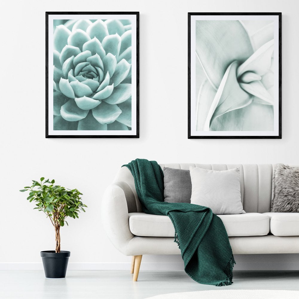 Mint Green Succulent Print Set of 2 in black frames with mounts