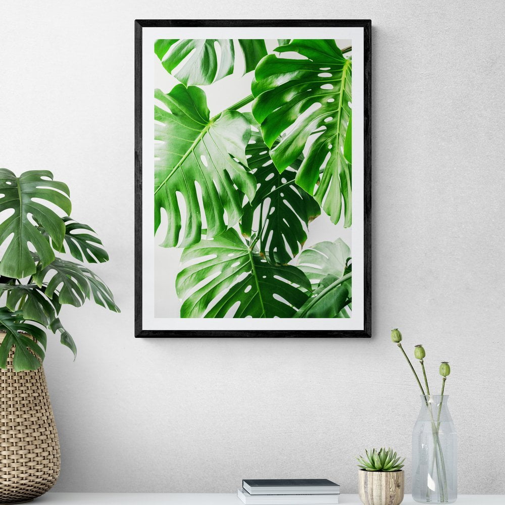 Monstera Plant Print in black frame with mount