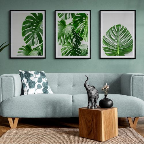 Monstera Leaves Print Set of 3 in black frames with mounts