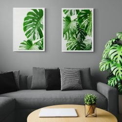 Large Monstera Leaves Print Set of 2 in white frames