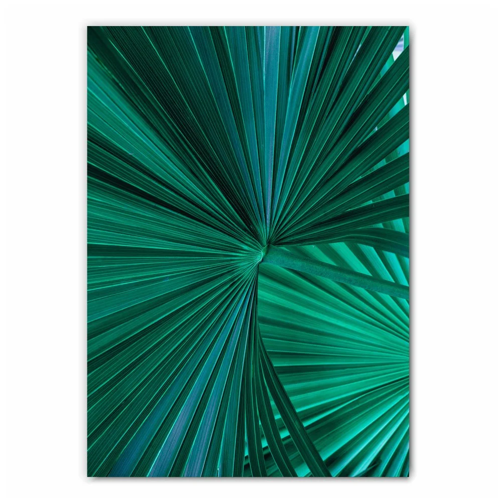 Tropical Palm Leaf Print