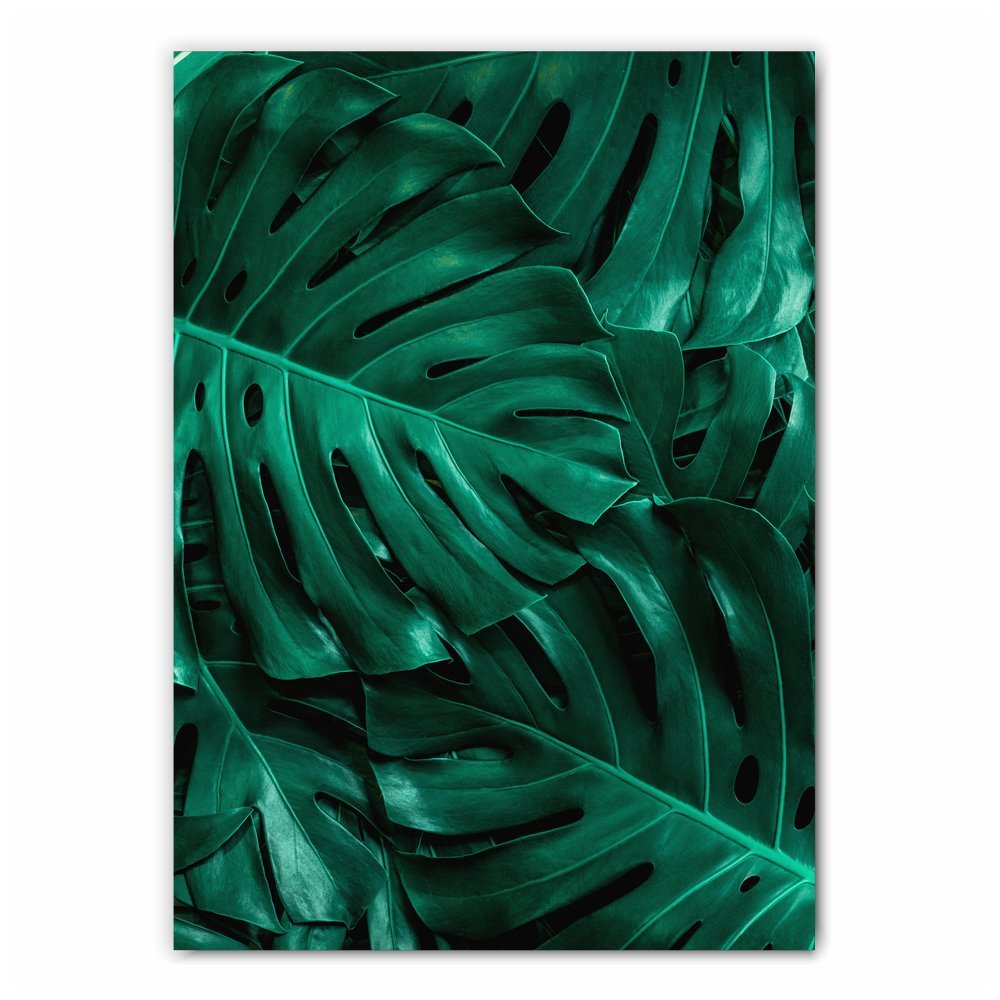 Tropical Monstera Leaf Print