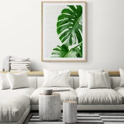 Monstera Leaf Print in natural wood frame with mount