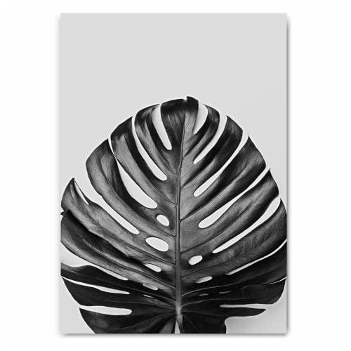 Black and White Monstera Leaf Print