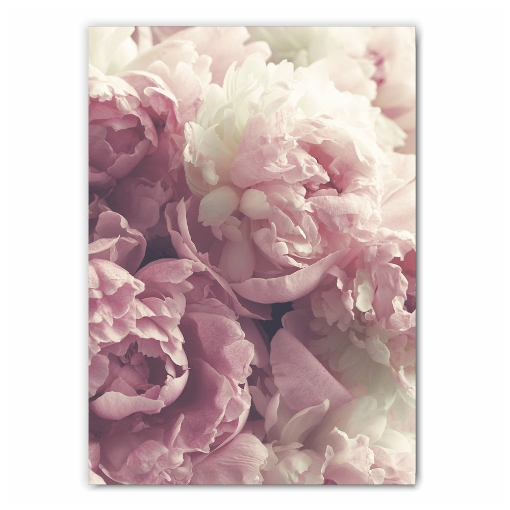 Pink Roses Photo Print