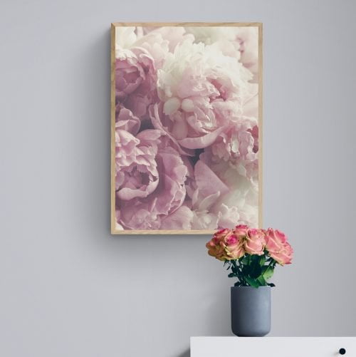 Pink Roses Photo Print in natural wood frame