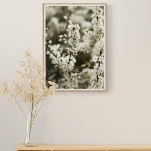 White Blossom Photography Print in natural wood frame with mount