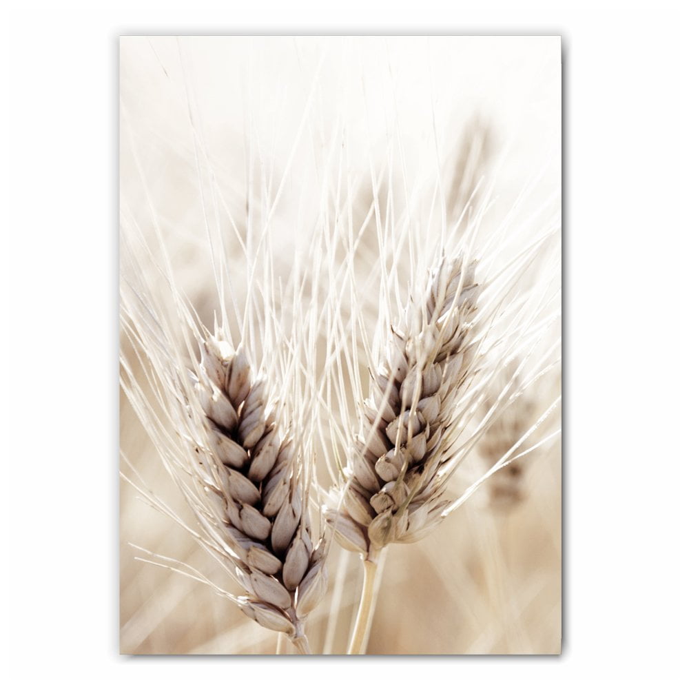Wheat Grass Photography Print