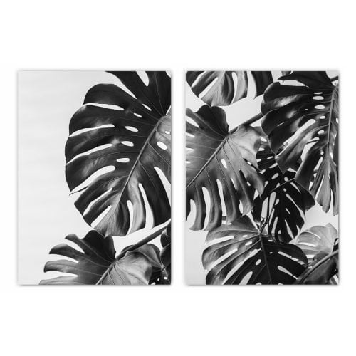 Monochrome Monstera Leaves Print Set of 2