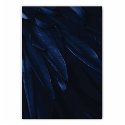 Midnight Blue Feathers Print