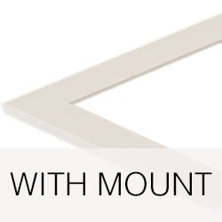 White with Mount +£10.00